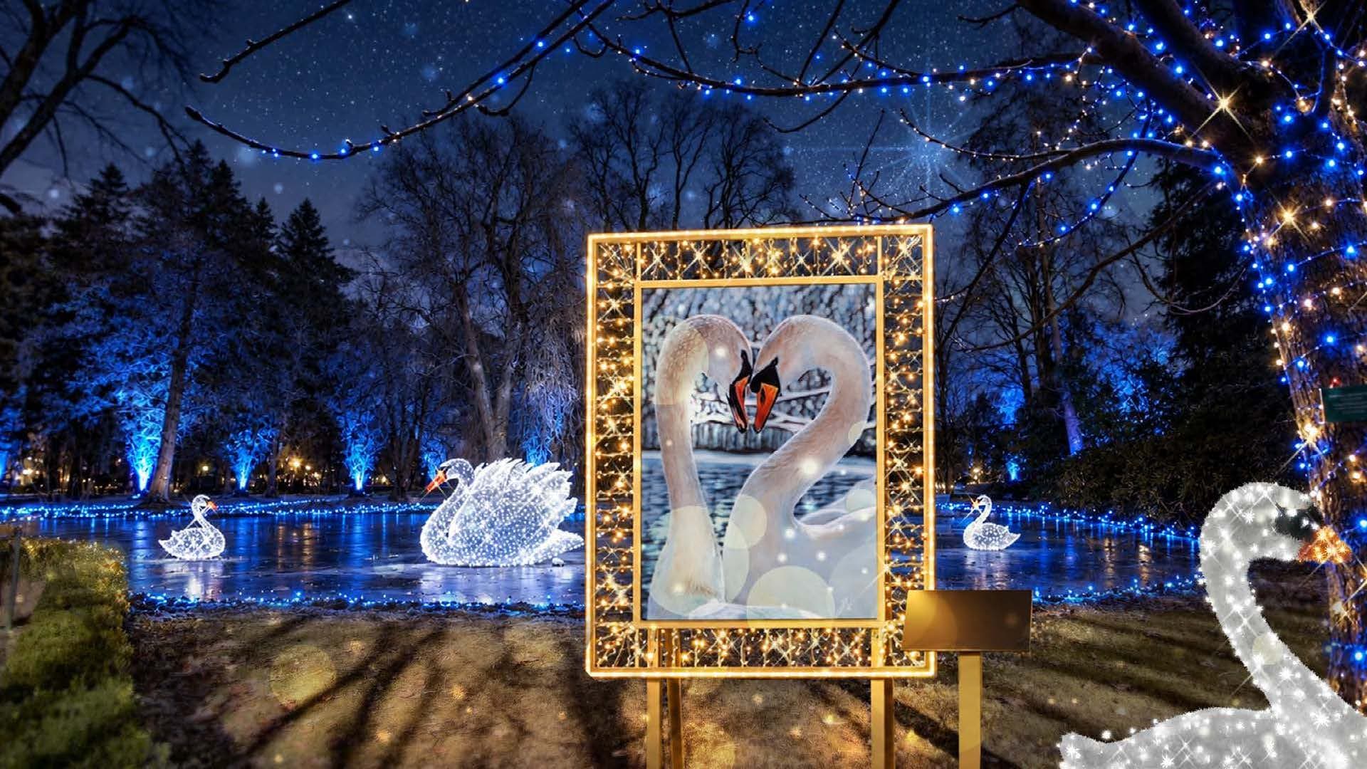 Art in glowing frames