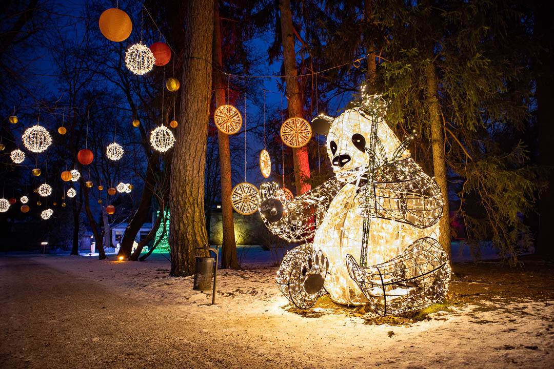 Ein großer leuchtender Panda in LUMAGICA Innsbruck begeistern Jung und Alt. Unsere Lichterparks setzen auf handgefertigte Lichtinstallationen aus Europa.