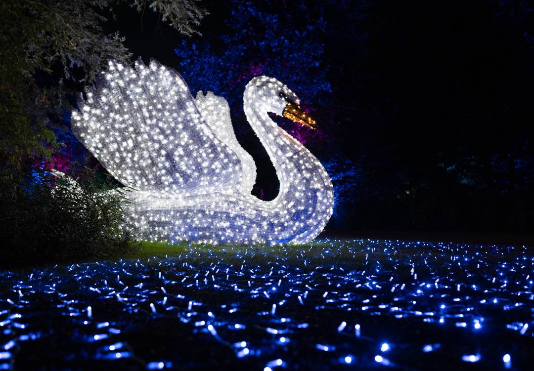 LUMAGICA Lichterparks verzaubern mit ihren atemberaubenden Illuminierungen von Tieren aus aller Welt