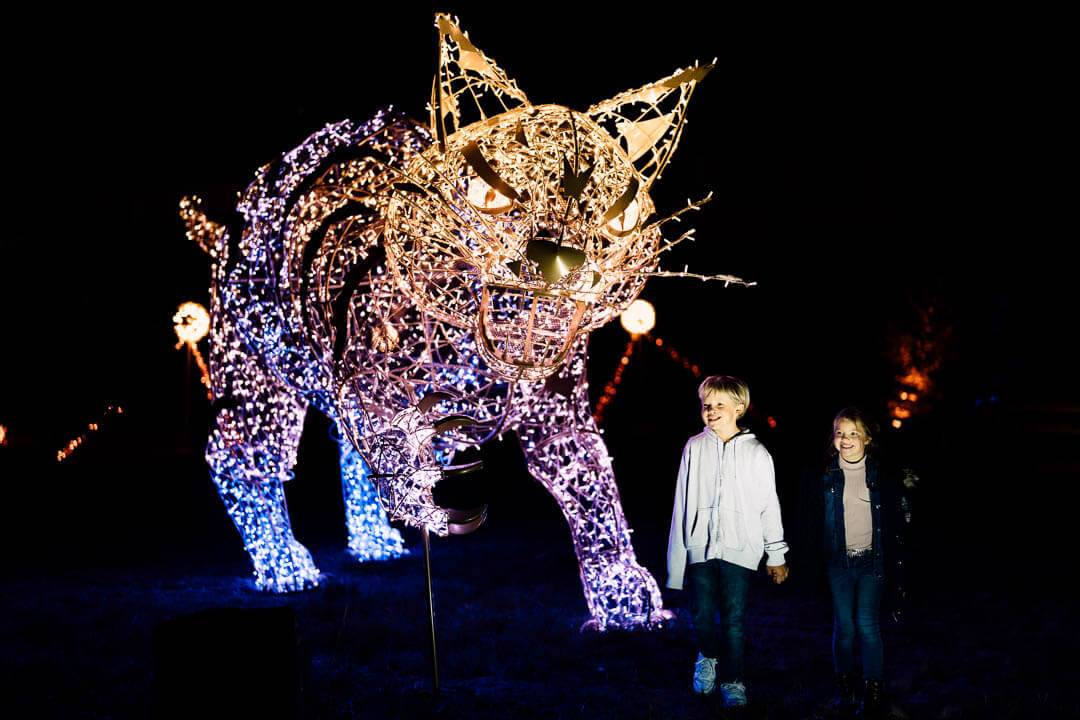 LUMAGICA Lichterparks verzaubern mit ihren atemberaubenden Illuminierungen von Tieren aus aller Welt Klein und Groß gleichermaßen